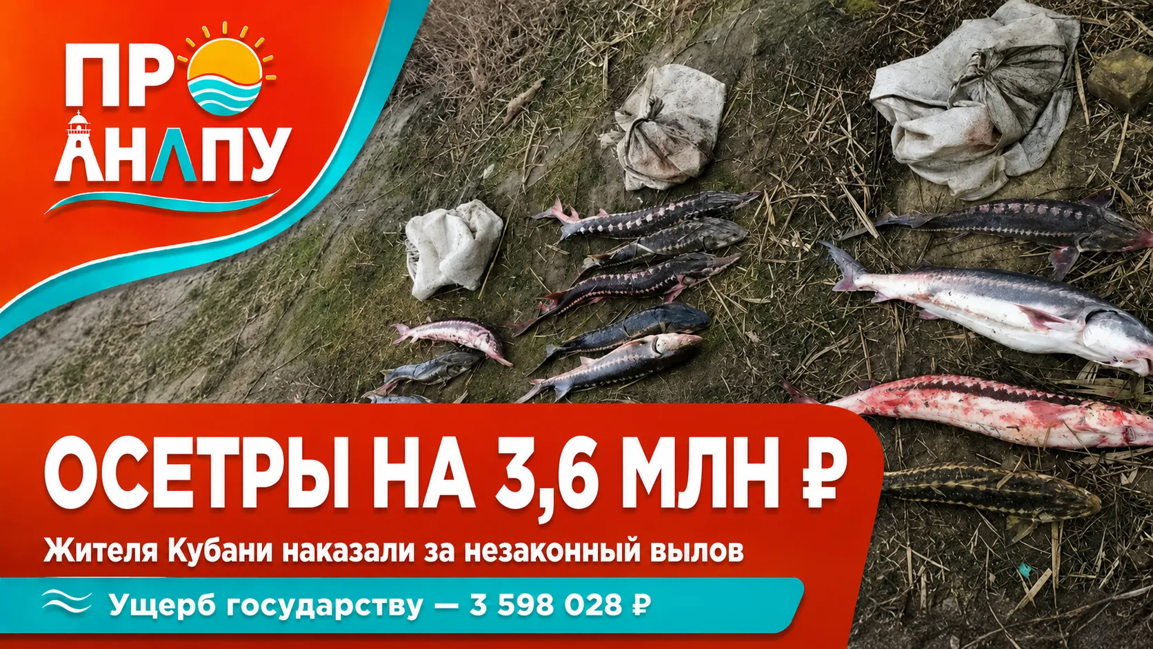 Рыбалка в Азовском море обошлась жителю Кубани почти в 3,6 млн рублей