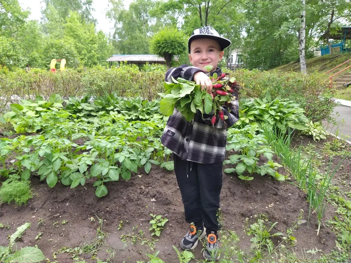 🌱 Юные садоводы собрали первый урожай! 🌱

Ребята из старшей "В"  группы  «Знайка» 🤗  с огромным э