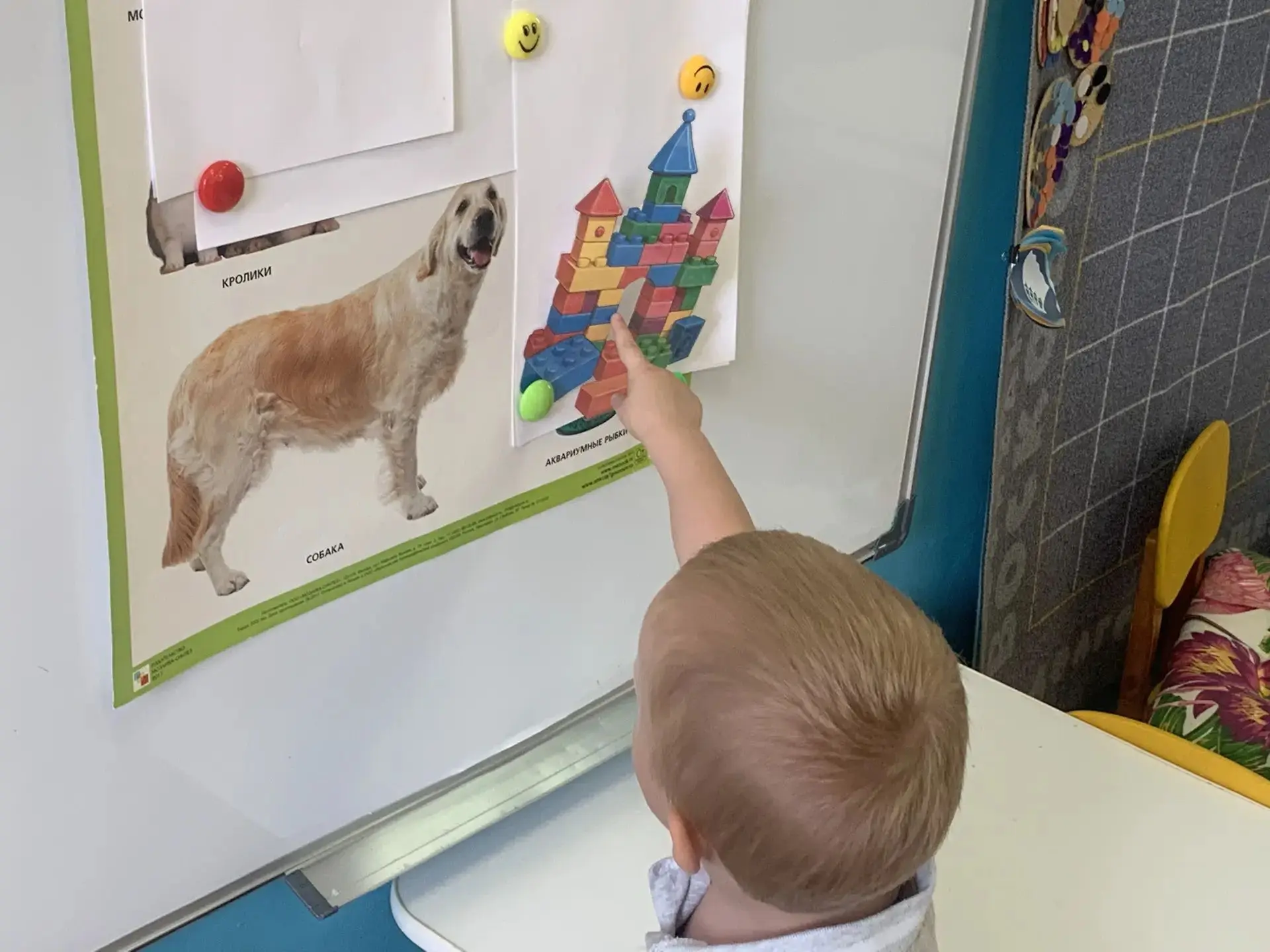🐶 День благодарности собаке прошел в группе «Воробьишка»!
