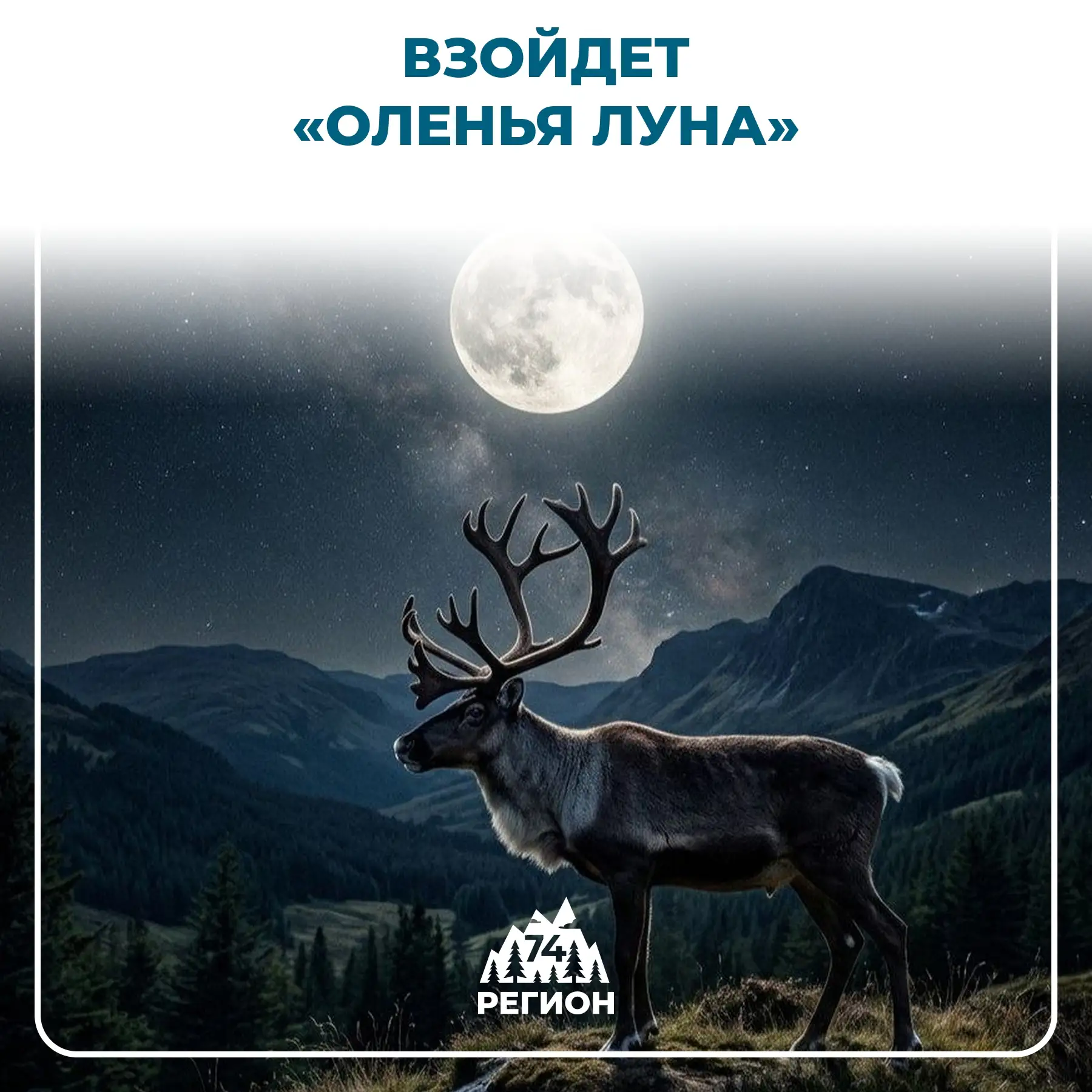 🌕 Этой ночью над Россией взойдет «оленья Луна»

Спутник Земли будет выглядеть значительно крупнее п