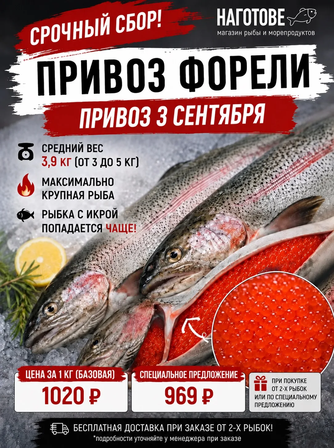 ОТКРЫТ СБОР НА ФОРЕЛЬ ИЗ ОСЕТИИ! ПРИВОЗ УЖЕ В ЭТОТ ЧЕТВЕРГ / 3 СЕНТЯБРЯ