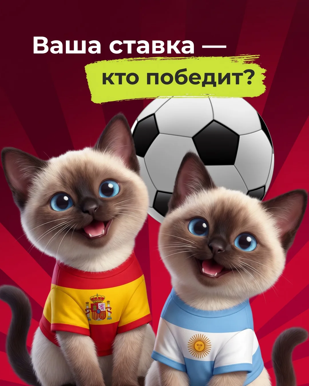 Ну что, время делать ставки ⚽ 

Сегодня в финале чемпионата мира сойдутся 🇪🇸 Испания и 🇦🇷 Аргент