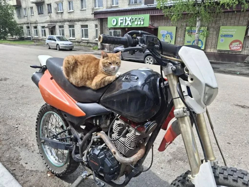 ☀️Стартуем в предпраздничную рабочую неделю,