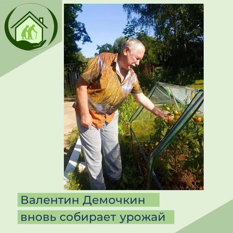 Валентин Демочкин вновь собирает урожай
