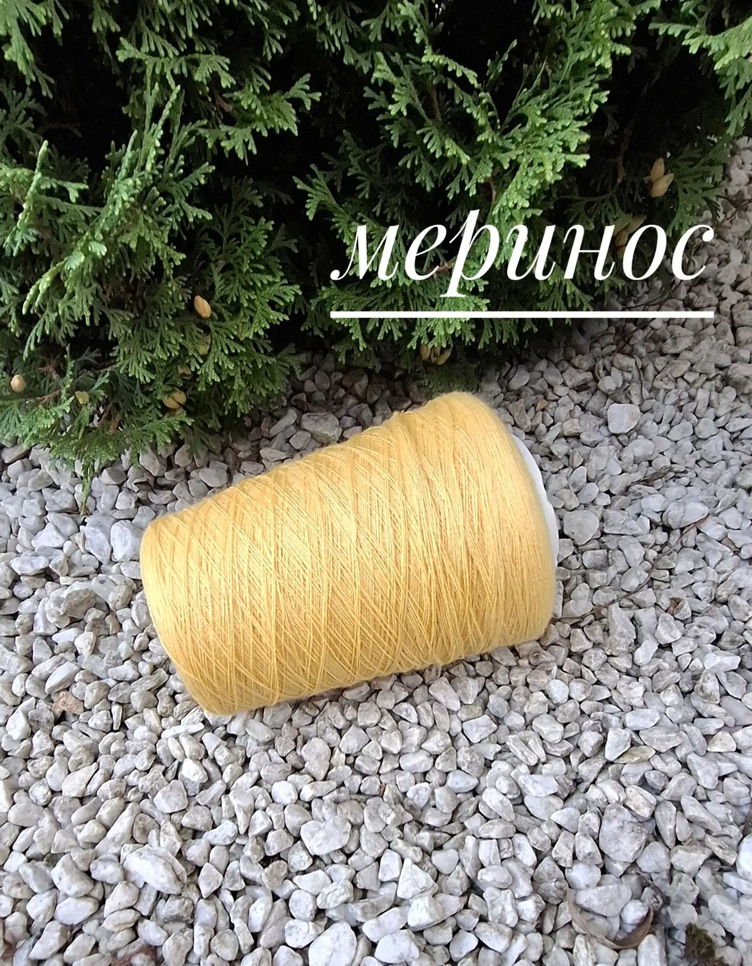 Нежный гребенной меринос
