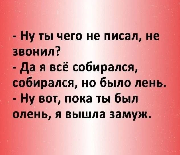 КУКУРУЗА 🌽