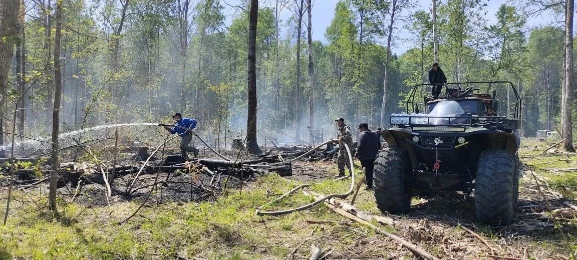 🔥🔥Вчера лесоводы потушили два лесных пожара: в Тевризском районе на площади 2 га и в Шербакульском