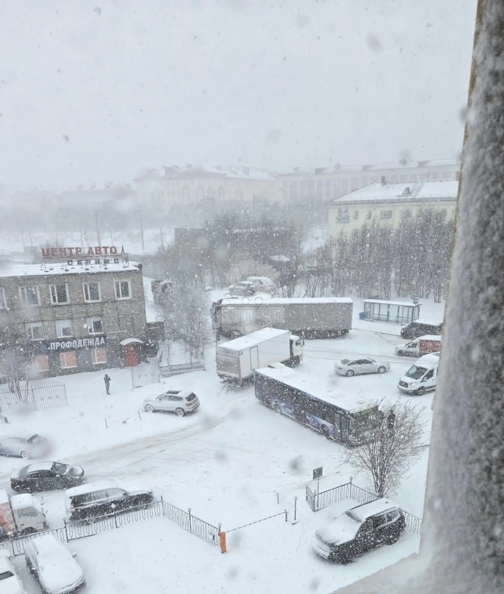 Траловая все ❌