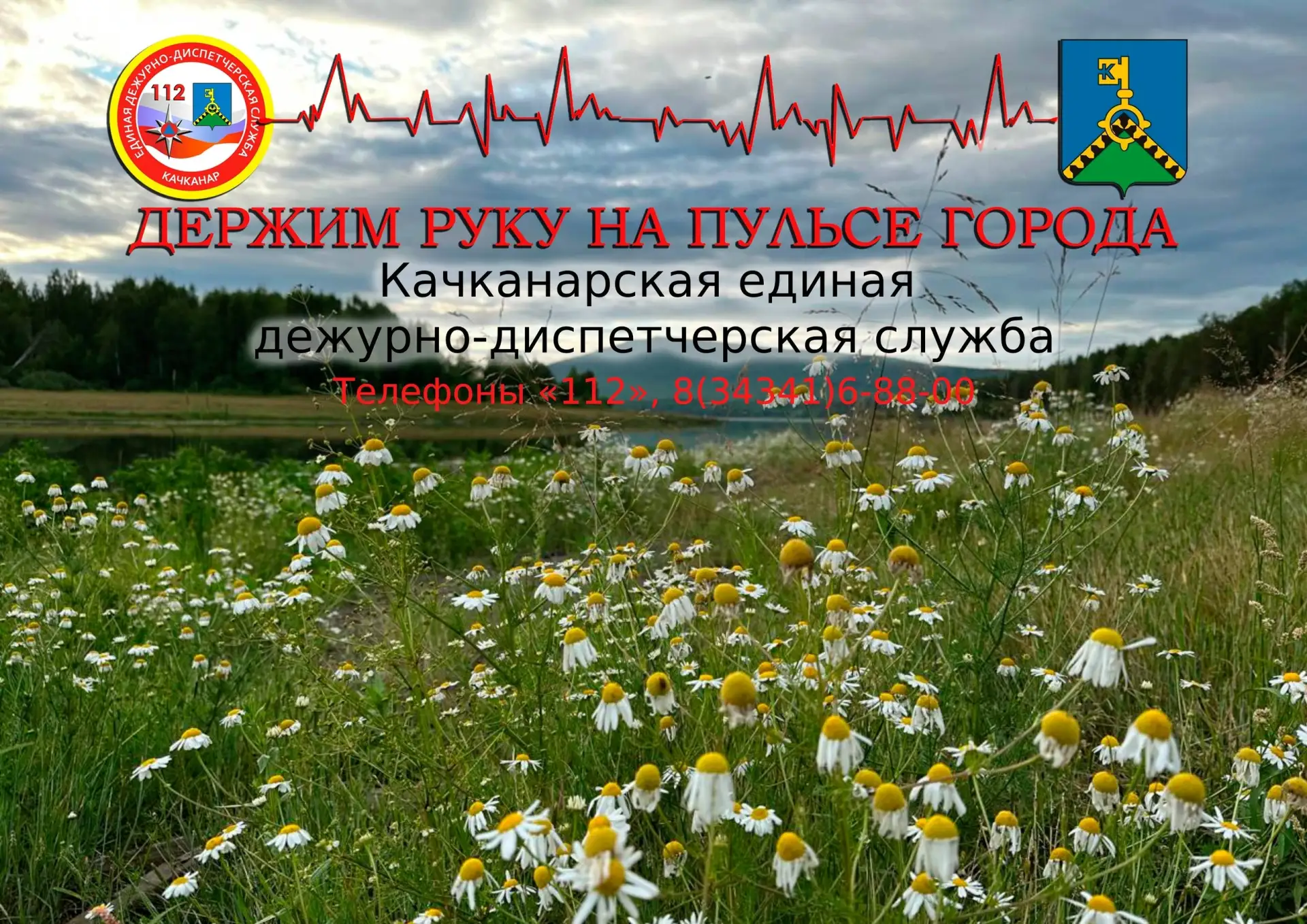 Сводка происшествий на территории Качканарского муниципального округа за сутки (с 08:45ч. 14 июня 20