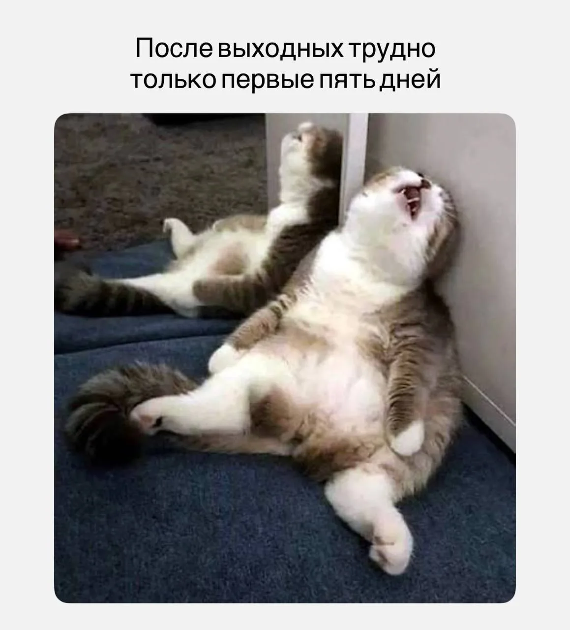 Рабочий понедельник почти позади 🙂