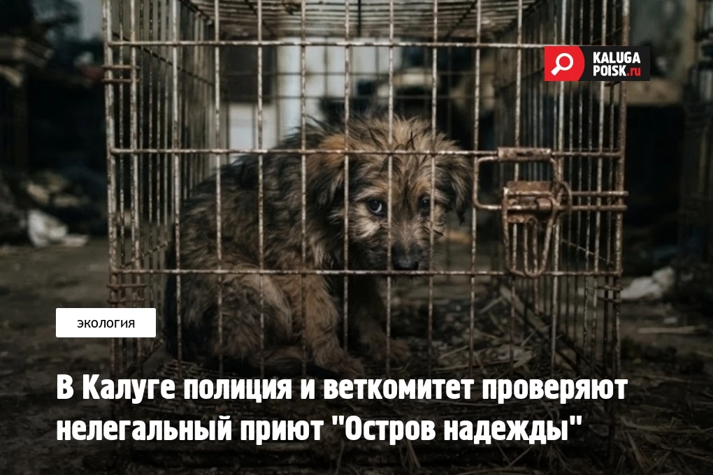 Комитет ветеринарии при Правительстве Калужской области проведёт выездную проверку "при...