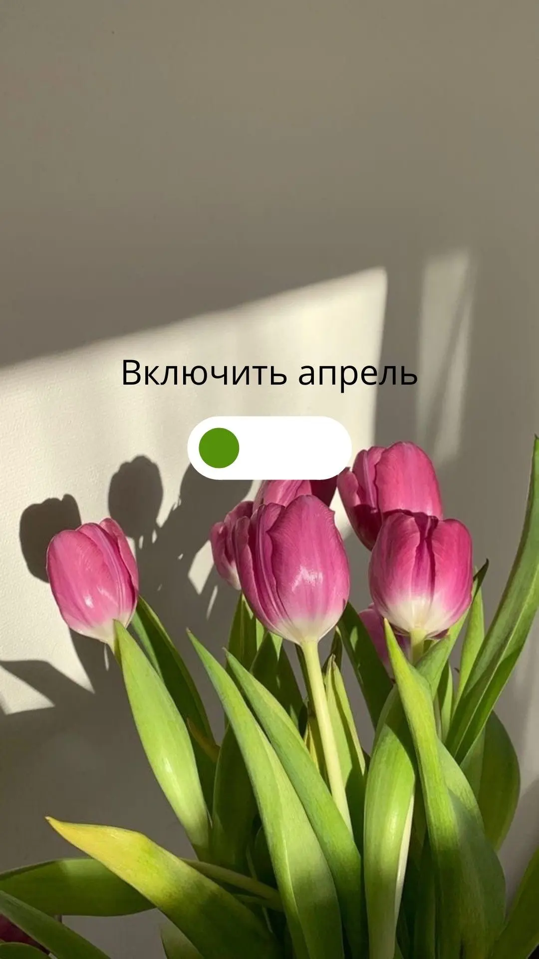На старт. Внимание. Апрель.
