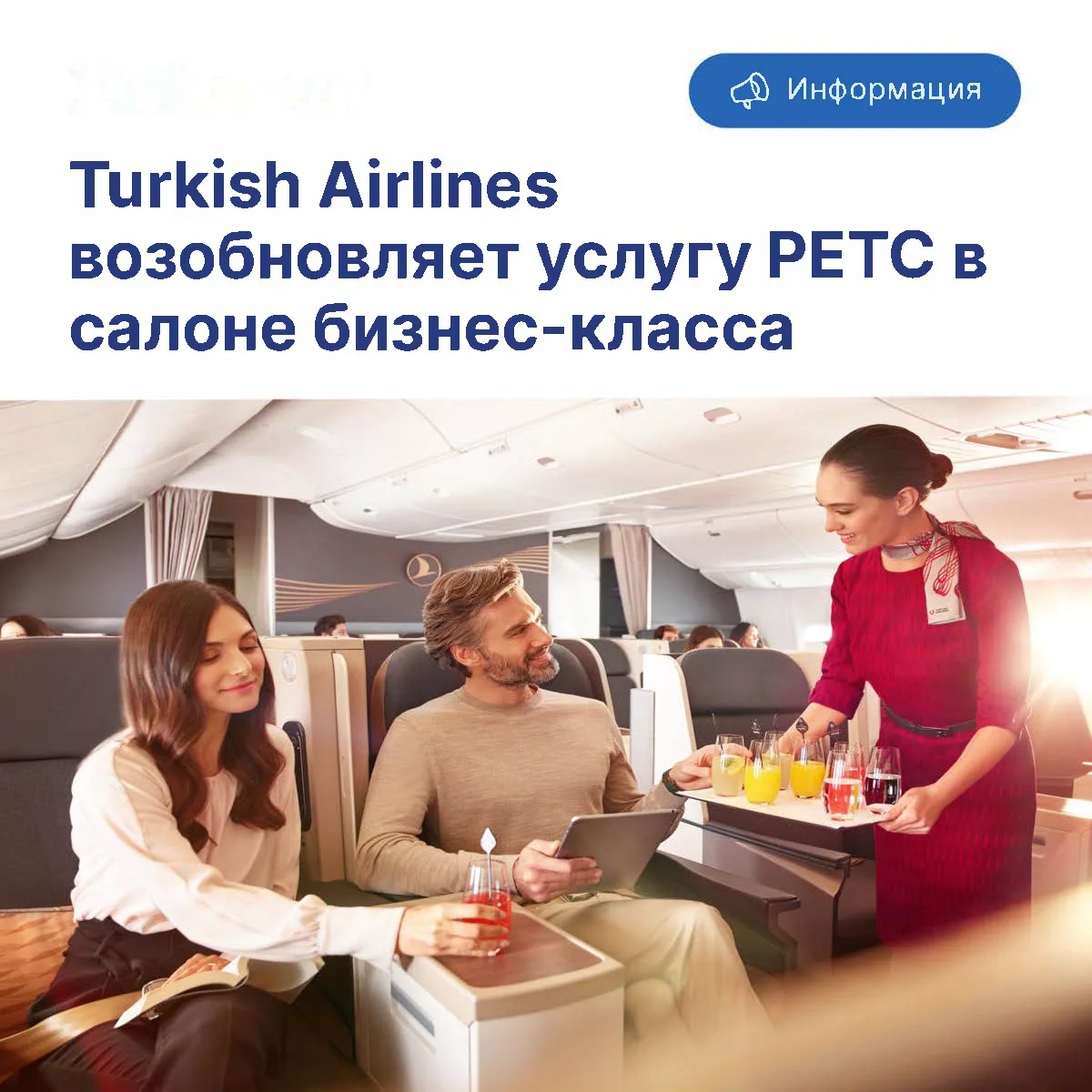 Turkish Airlines сообщает о возобновлении услуги PETC — перевозки домашних животных в салоне самолет
