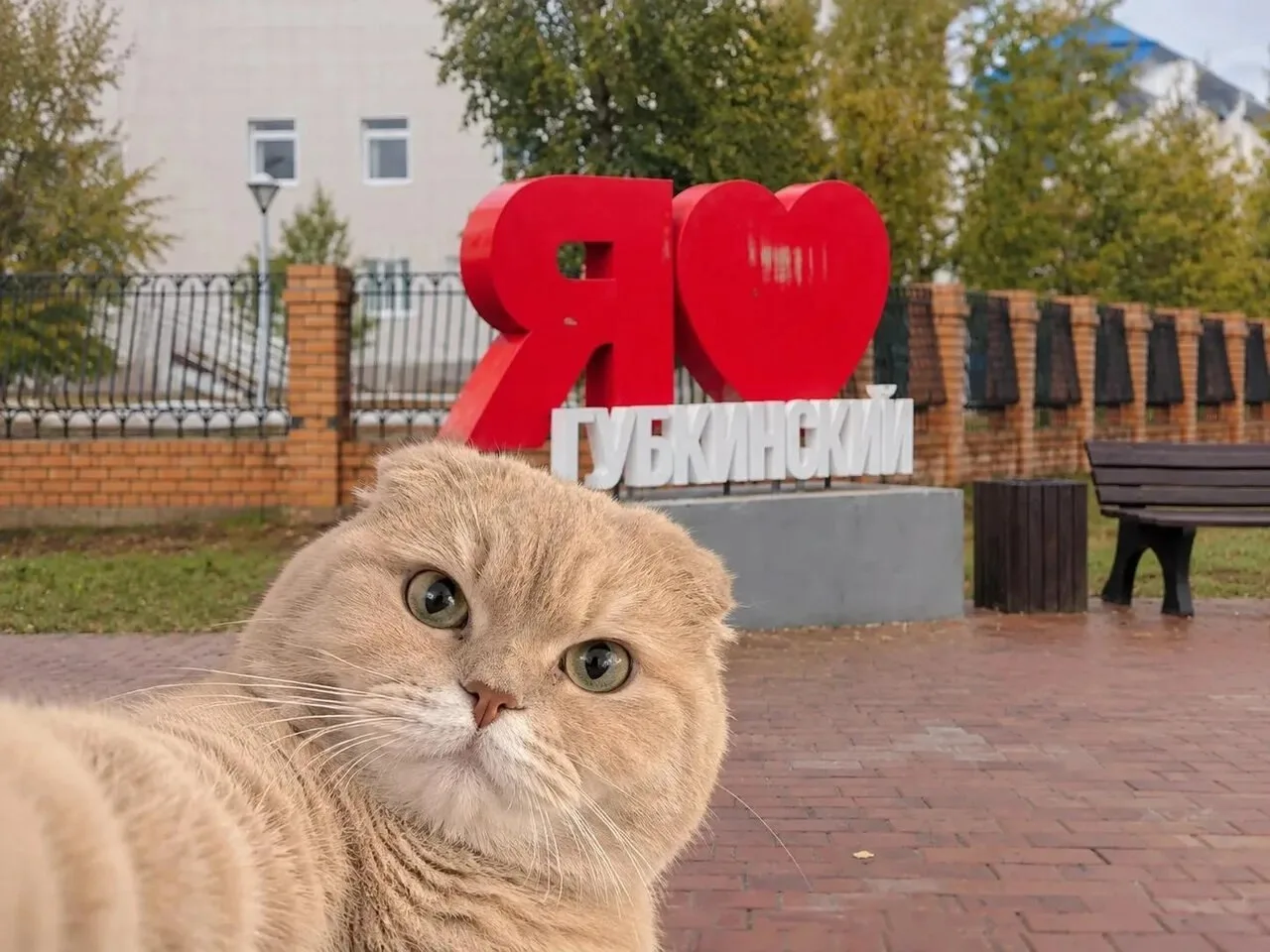 🐾 Новый кадр от Пряника у «Я ❤ Губкинский»