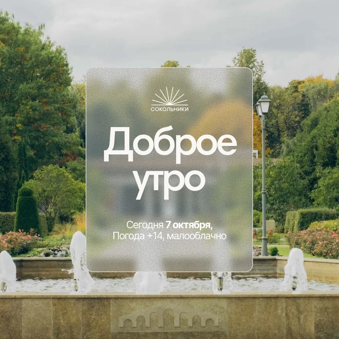 Доброе утро 🌹