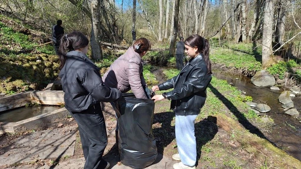 Обучающиеся МАОУ "Марëвская средняя школа" приняли участие во Всероссийской акции по оч...