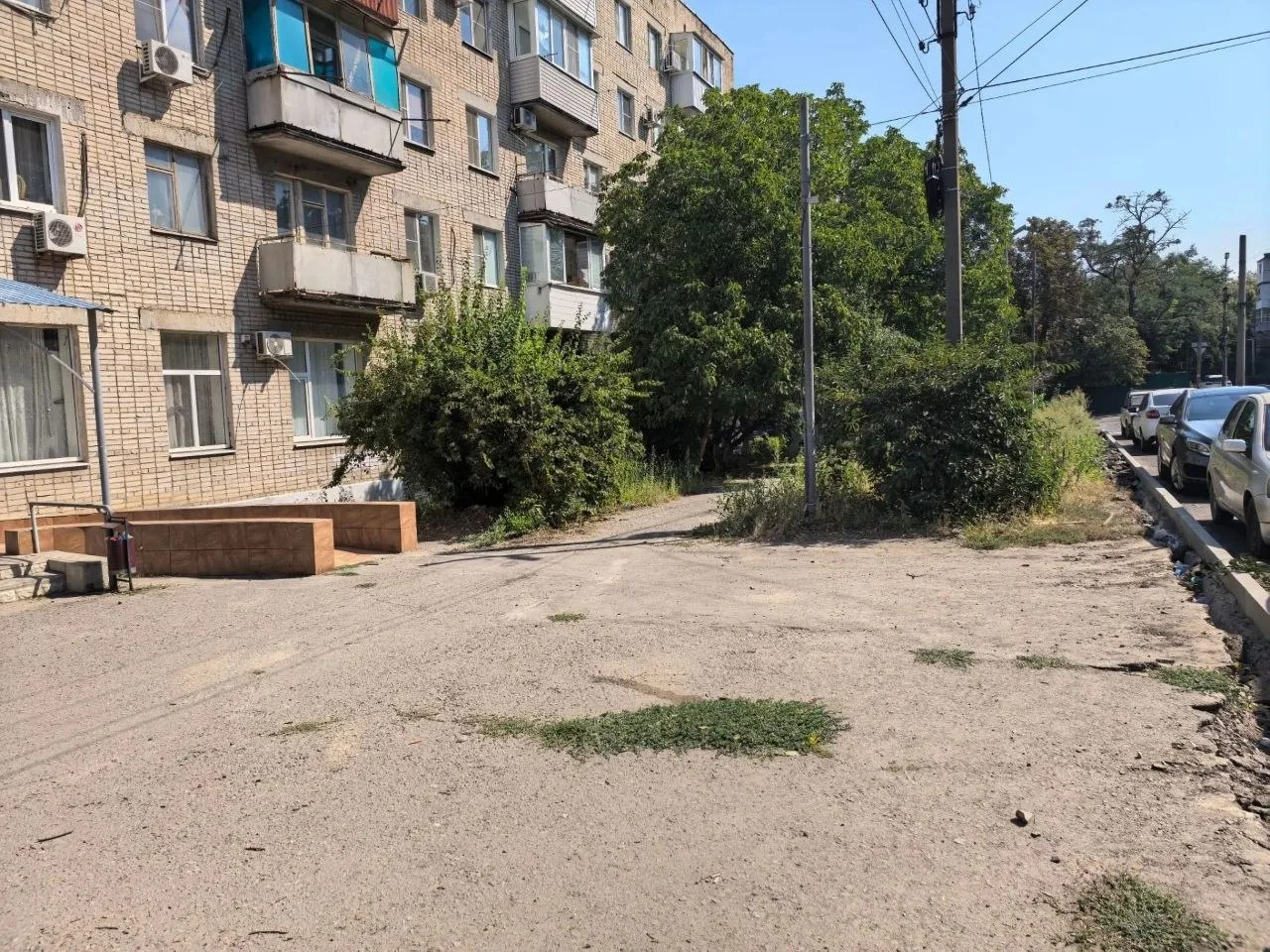 Амброзия у женской консультации обеспокоила новочеркасцев