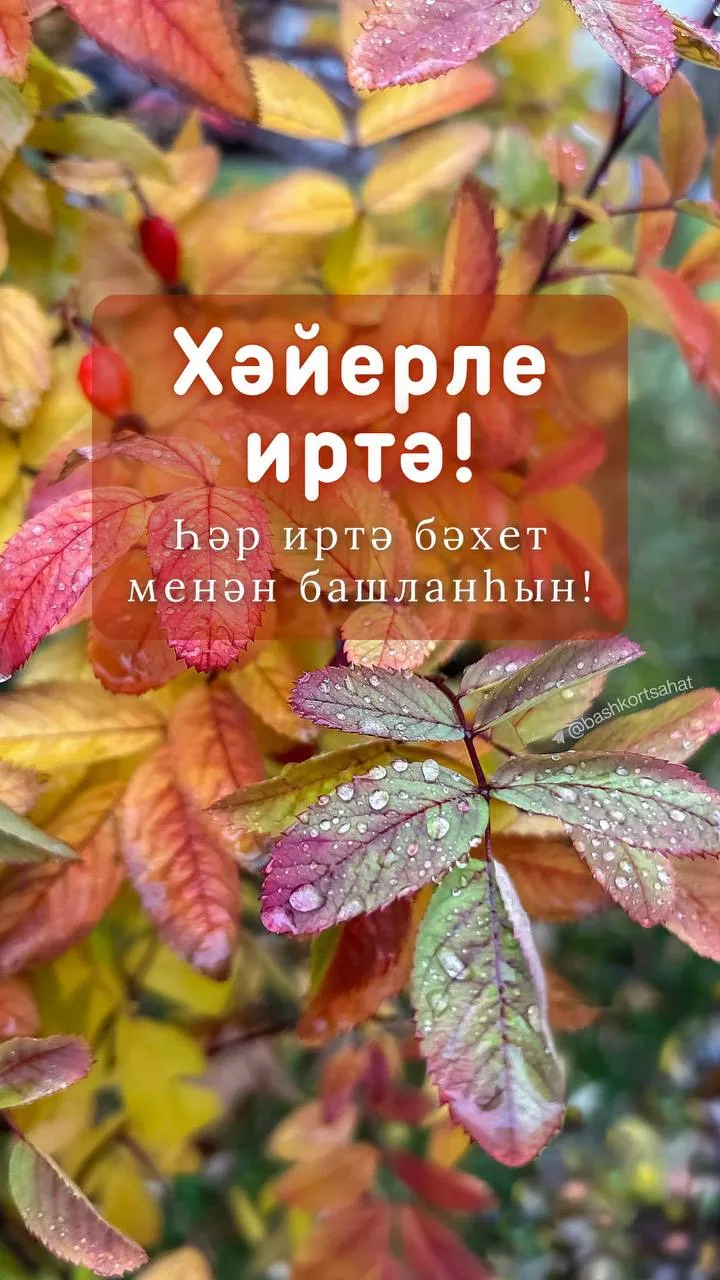 #хәйерлеиртә