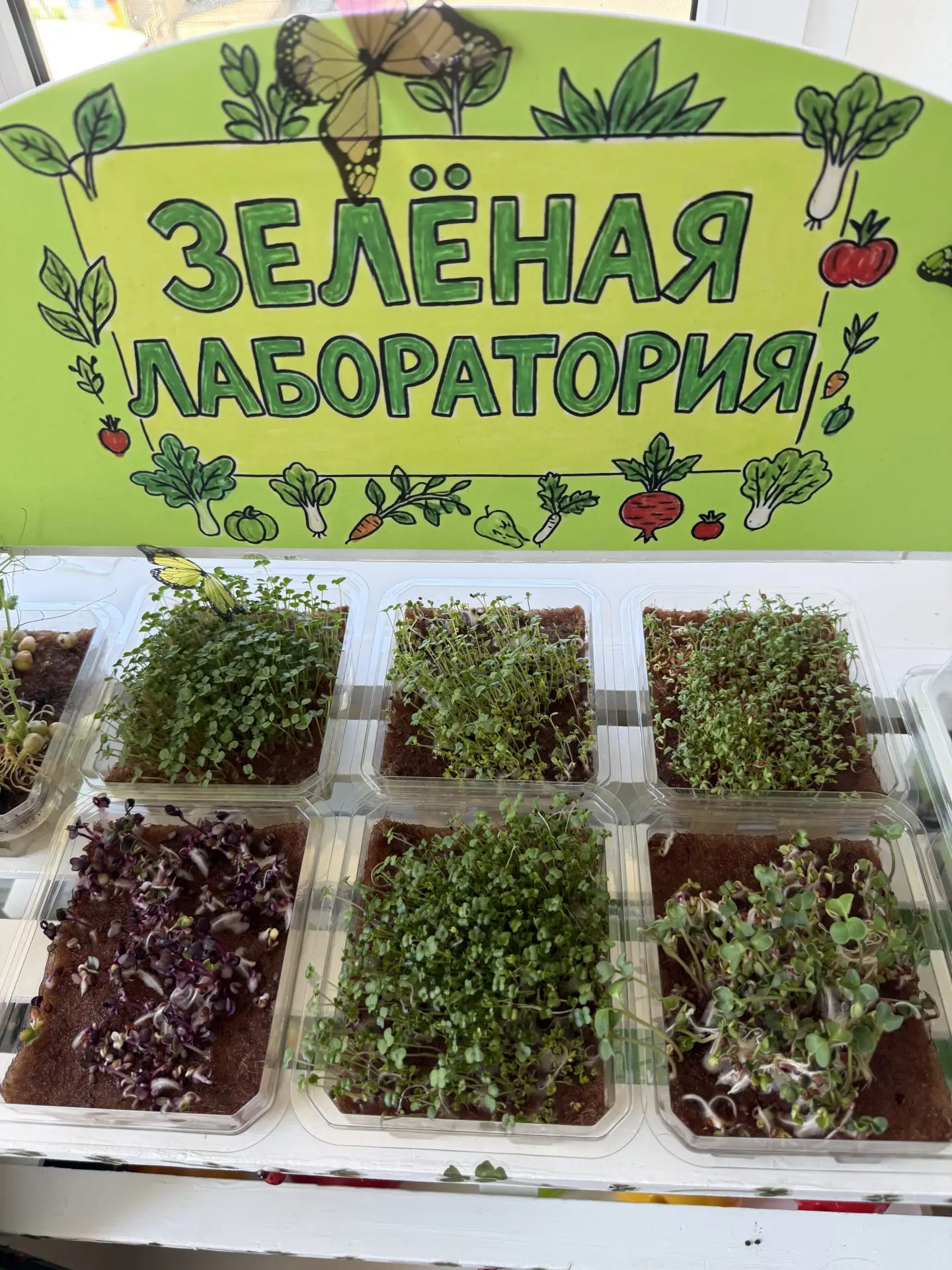 В нашей «Зелёной лаборатории» кипит работа! 🌿