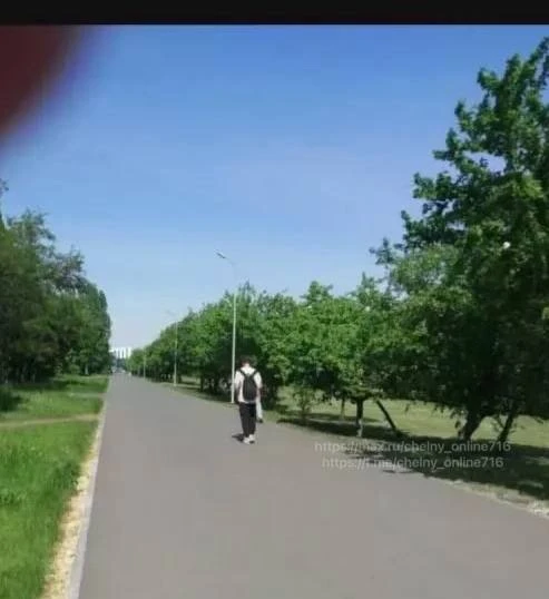 Стая ворон расклевала голову прохожей в Челнах