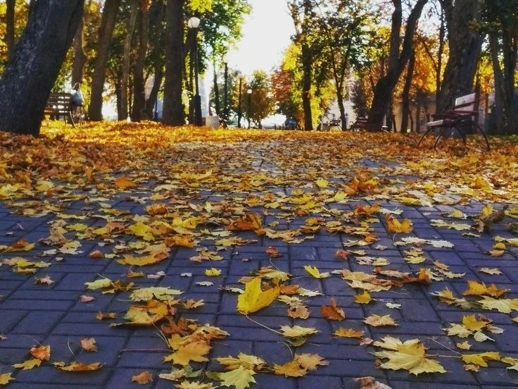 🌸 Доброе утро!