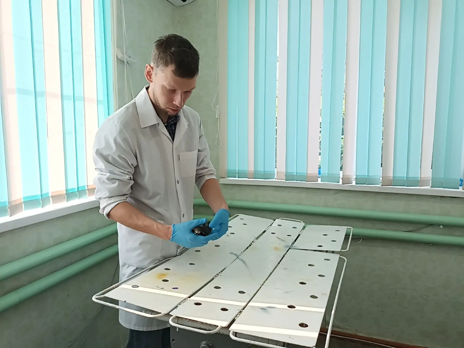 Ветеринарными специалистами ОГУ «Петровская райСББЖ» ведётся ежедневный приём домашних ...
