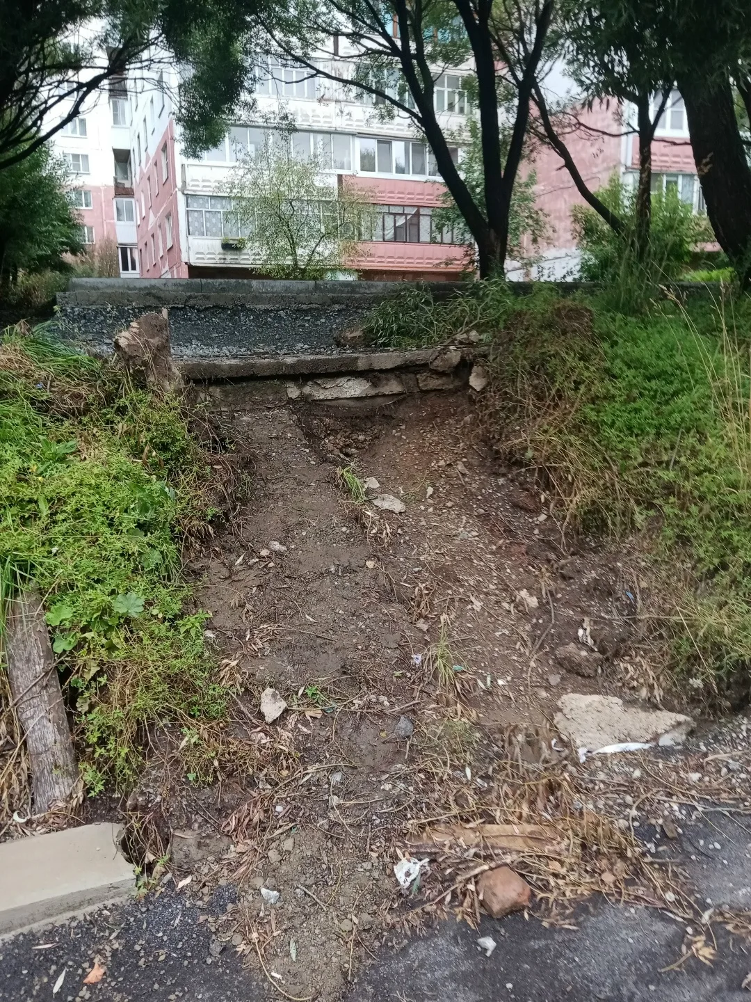 Я не понимаю этих рабочих, которые сейчас делают парк на ул. Румянцева, со стороны дороги, которая в