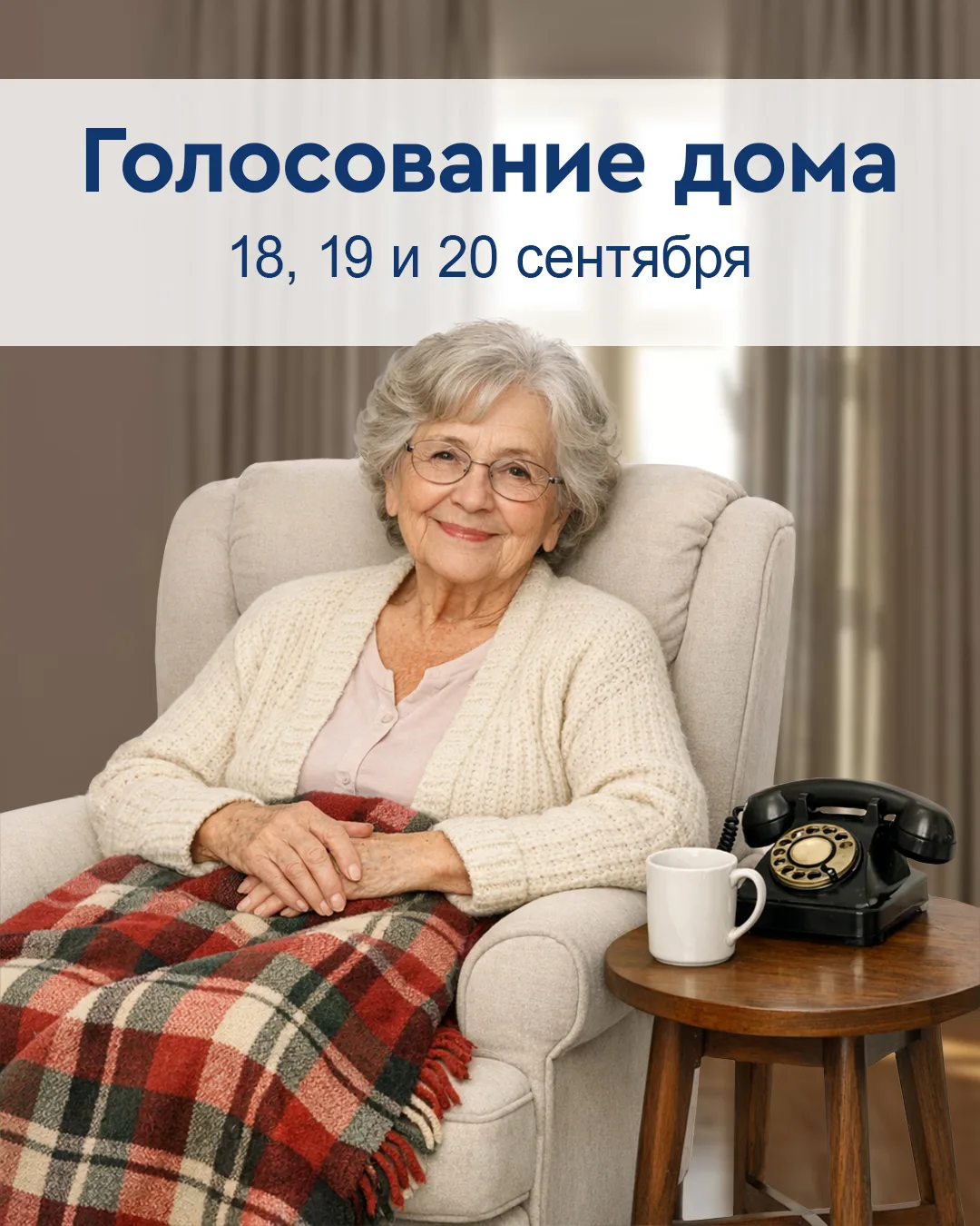 Голосование дома