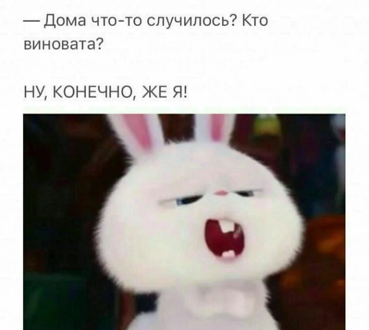 Жиза же ?🤣