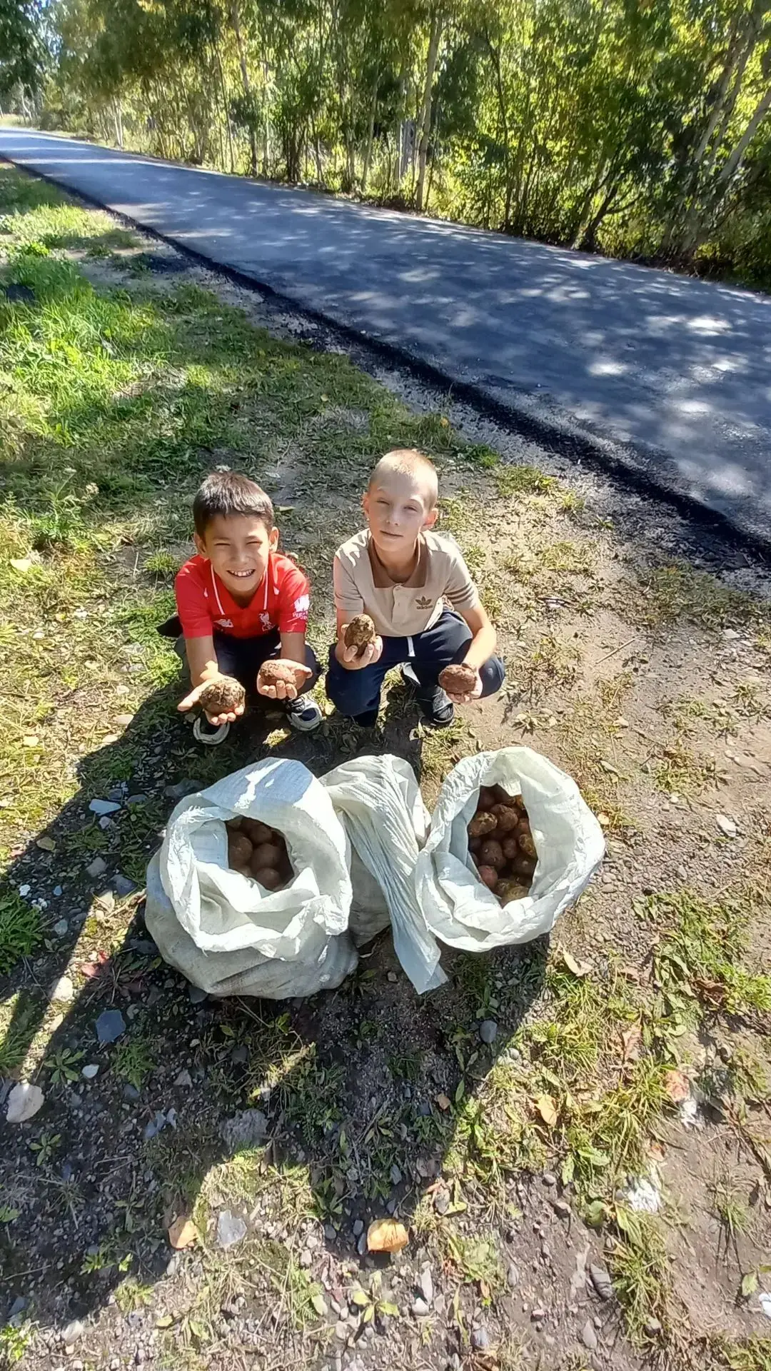 Осенние хлопоты подходят к концу: на дачном участке вовсю идет сбор урожая. А какой же ...