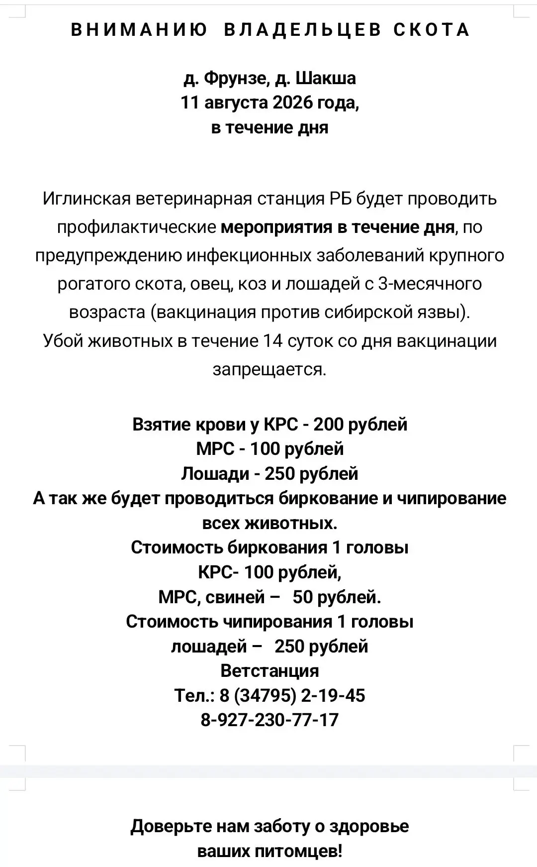 Медиа публикации