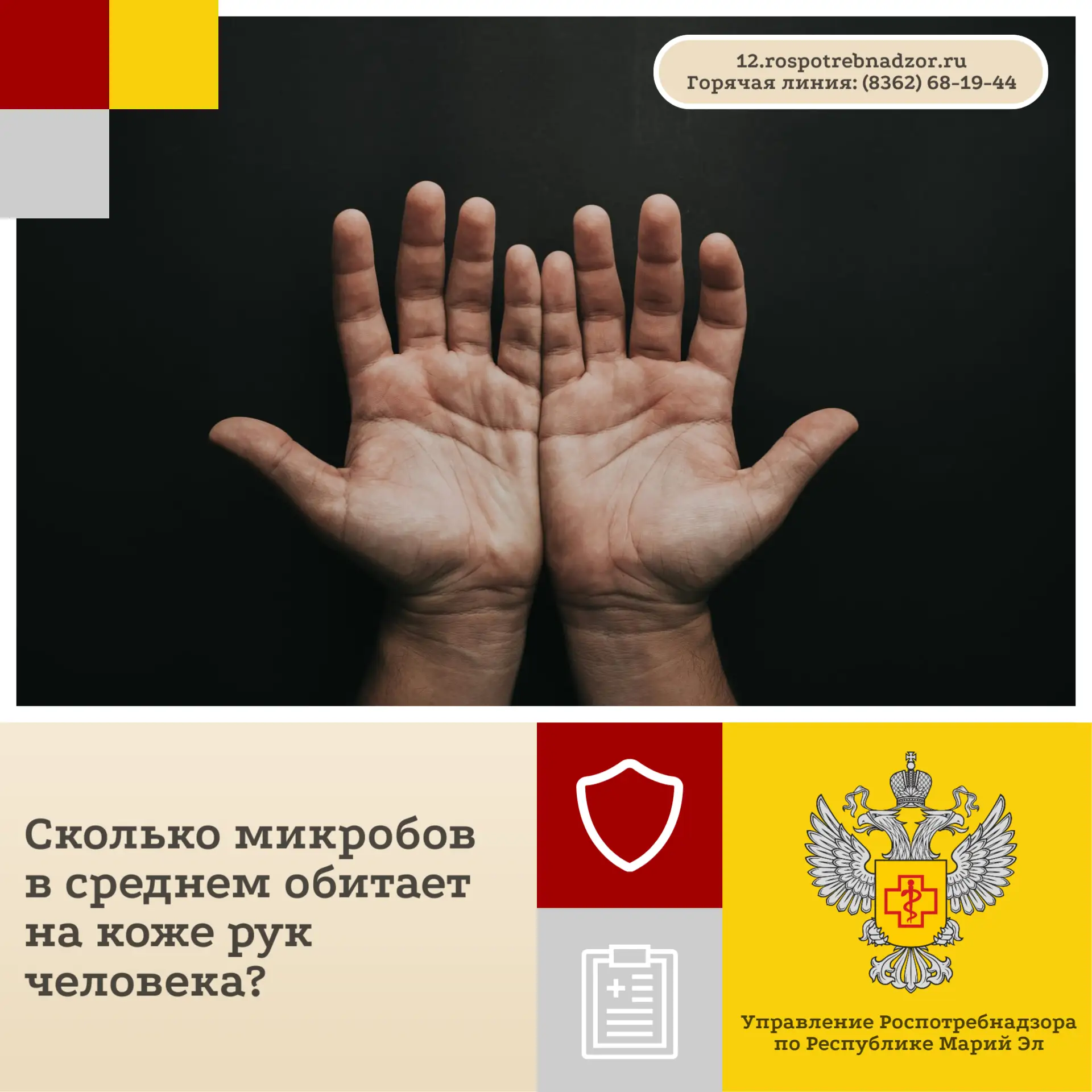 Сколько микробов в среднем обитает на коже рук человека? Эксперты Новосибирского НИИ ги...
