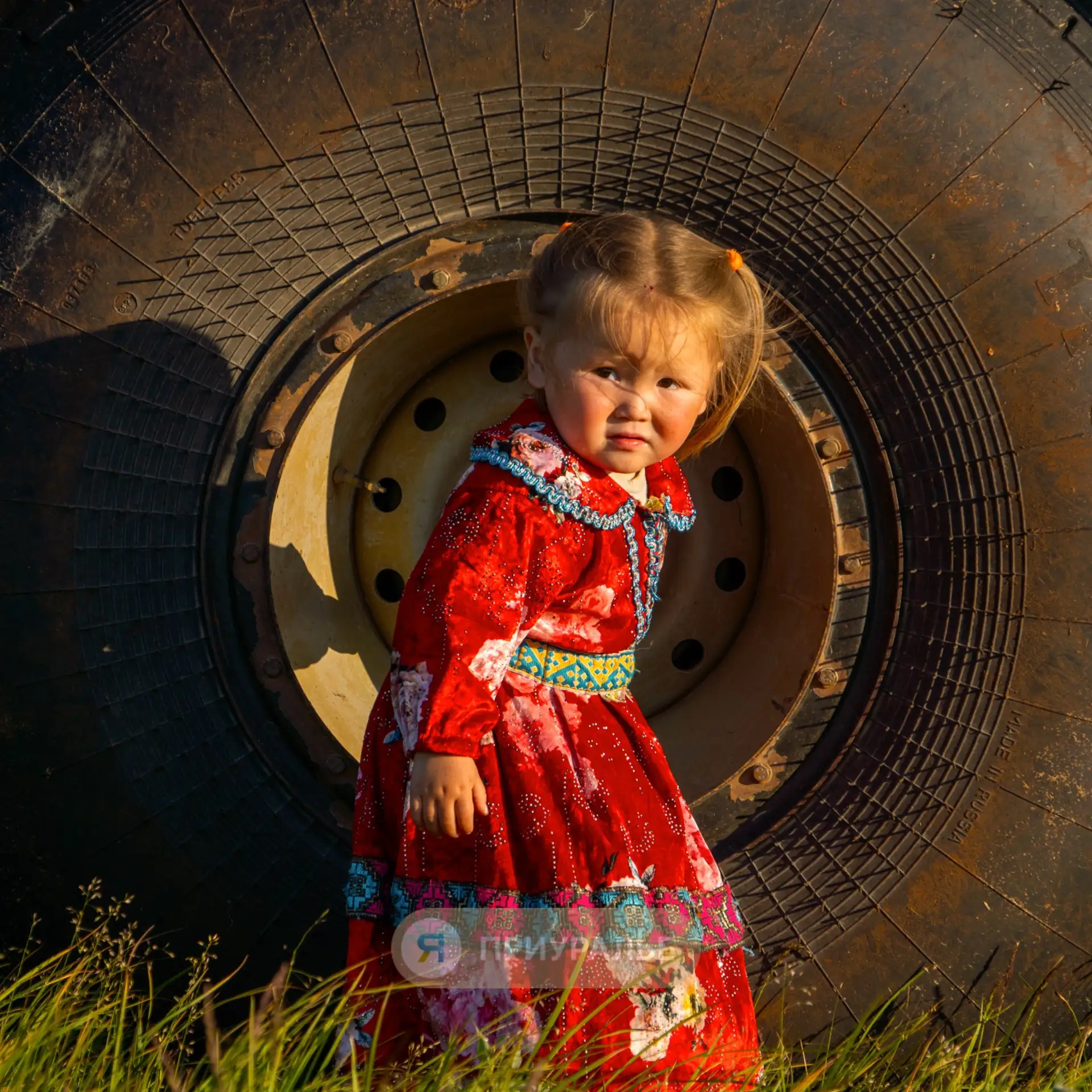 😜Когда ты размером с колесо, жизнь кажется такой простой и беззаботной