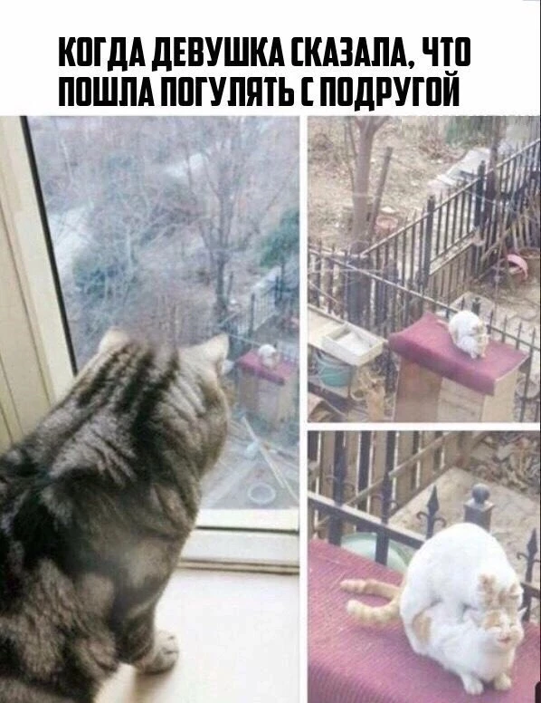 #ПРИКОЛЫ