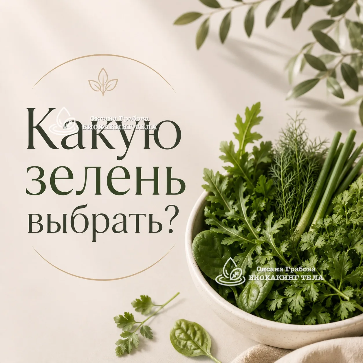 🥬 Какую зелень выбрать? Разбираем самые полезные варианты