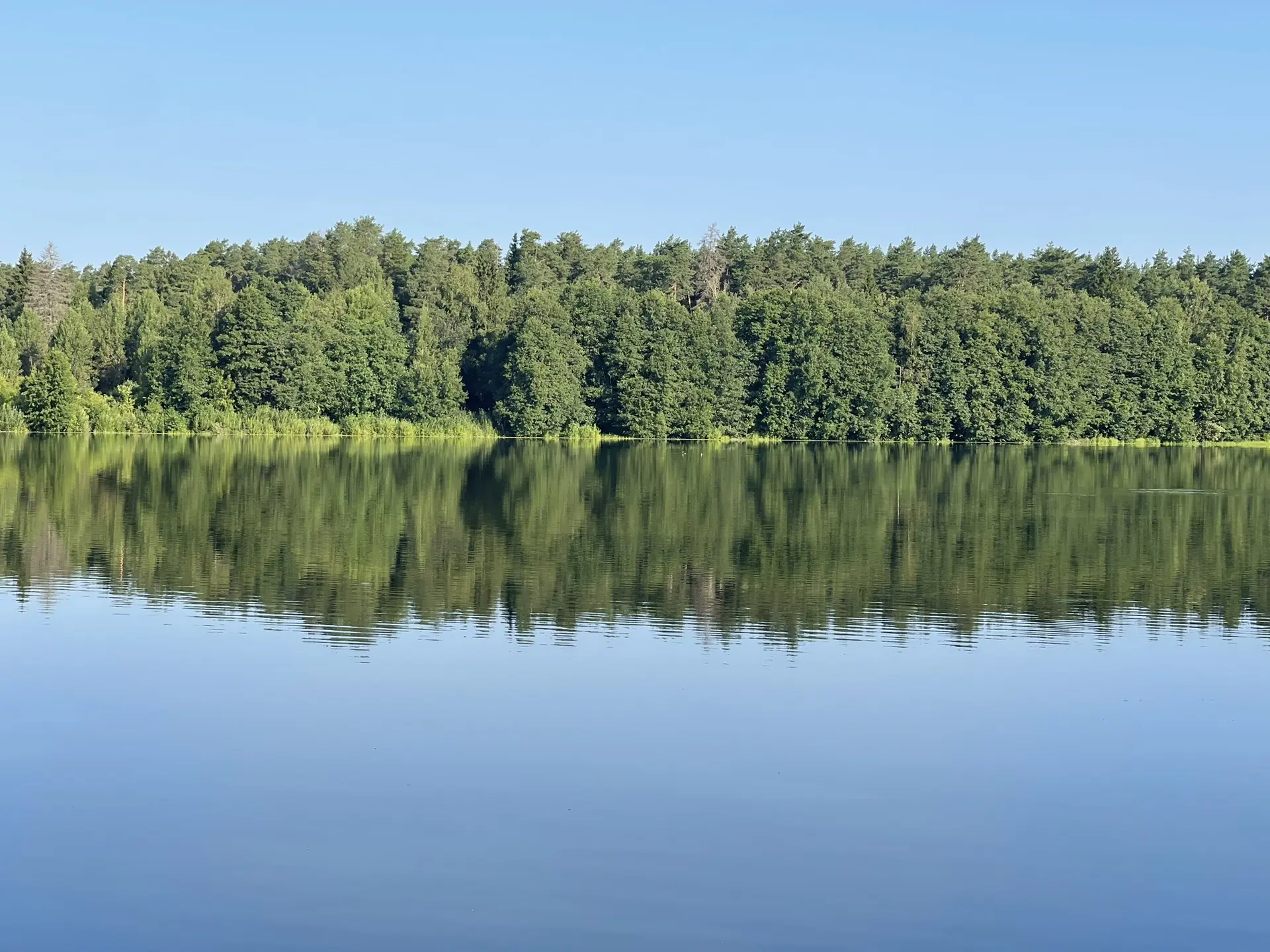 🌿 С добрым утром, дорогие друзья!