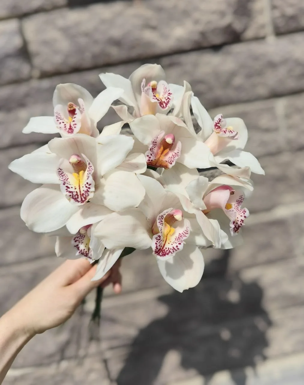 Орхидеи в СЧАСТЛИВОЙ цветочной лавке 🌺✨

Изящные, утончённые и по-настоящему роскошные — орхидеи вс
