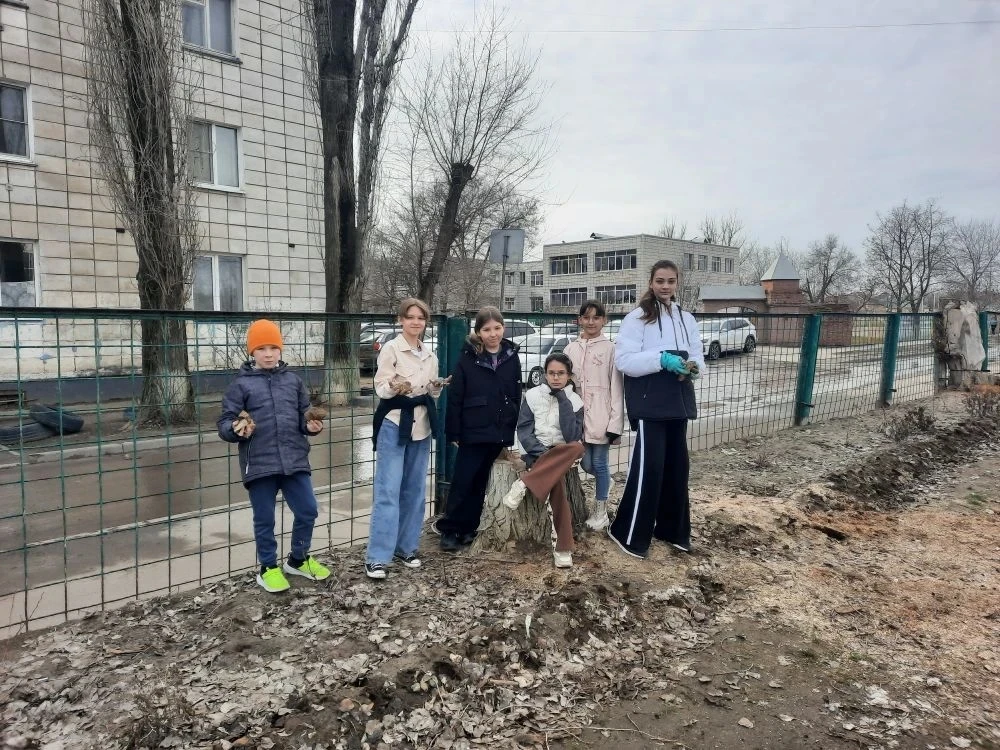 Есть такое правило: встал поутру, умылся - приведи в порядок свою планету. Эти известные каждому сло