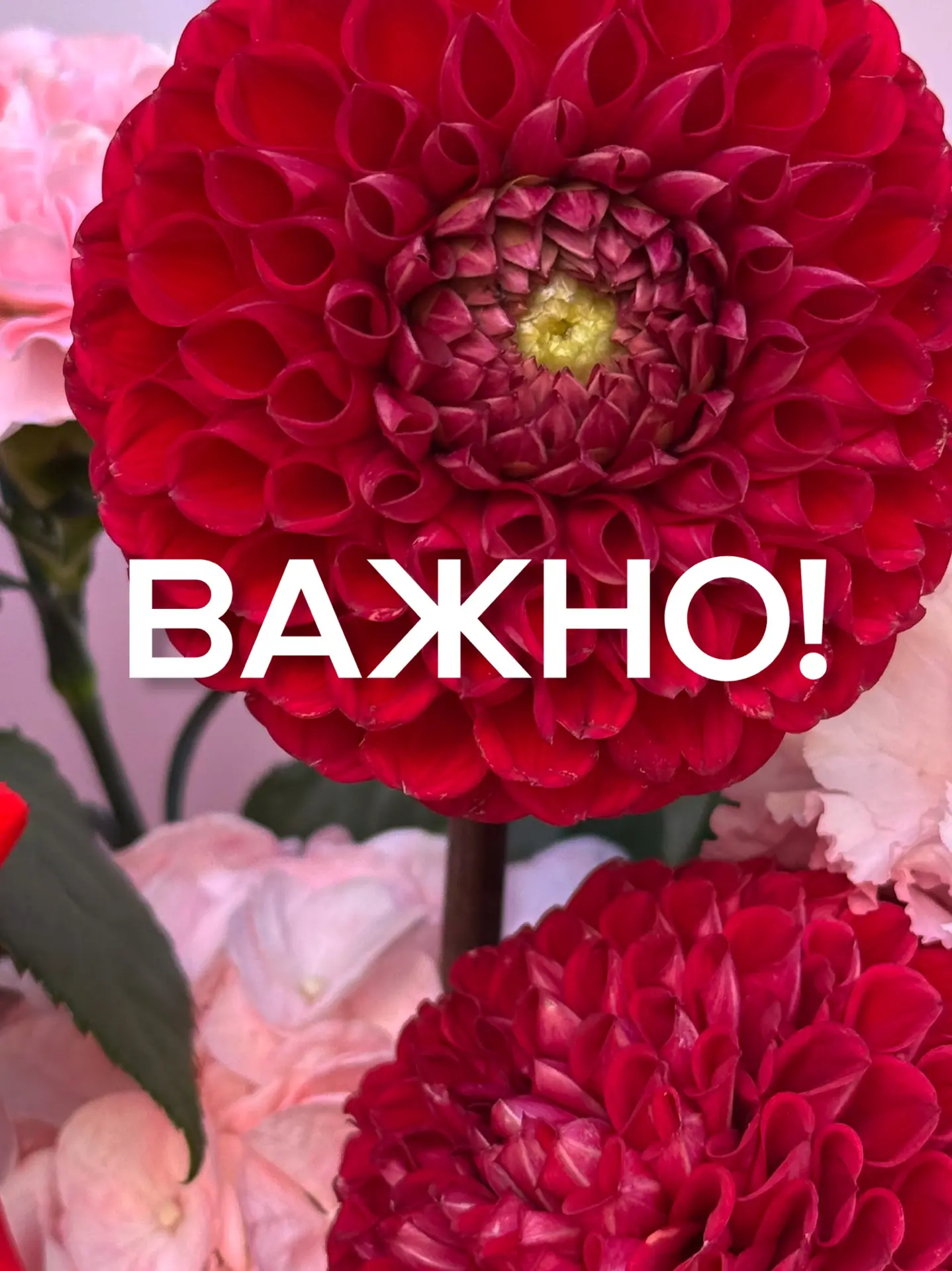 Ждем вас в нашей студии каждый день теперь с 8:00 до 21:00!😍😍😍😍