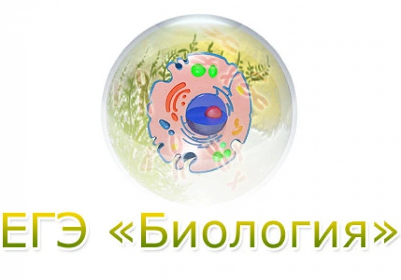 ❤ Стали известны официальные результаты ЕГЭ по биологии и информатике.

Гордимся нашими высокобалльн