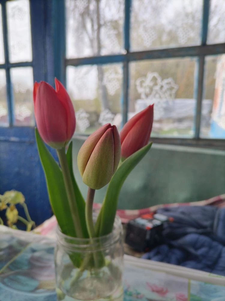 Доброе утро, всем отличного понедельника ☕ и удачной недели
