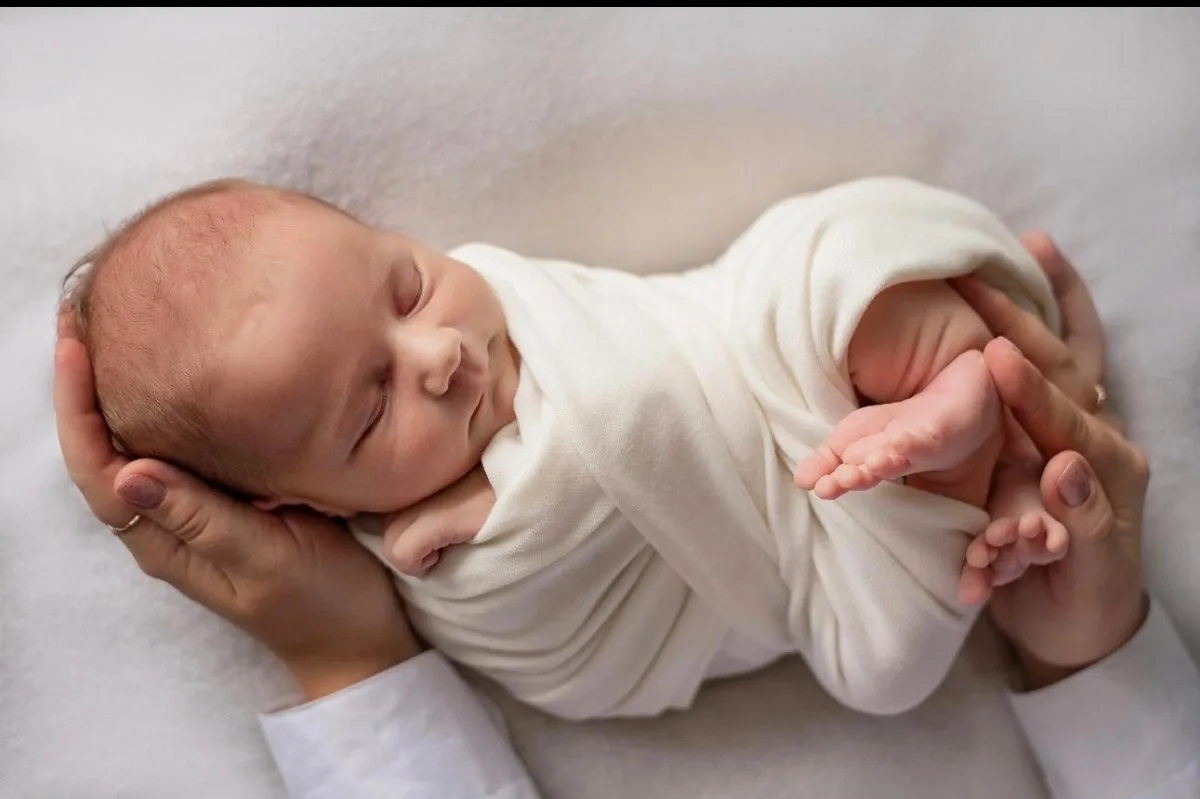 🥛 В ЛНР за неделю родились 88 малышей