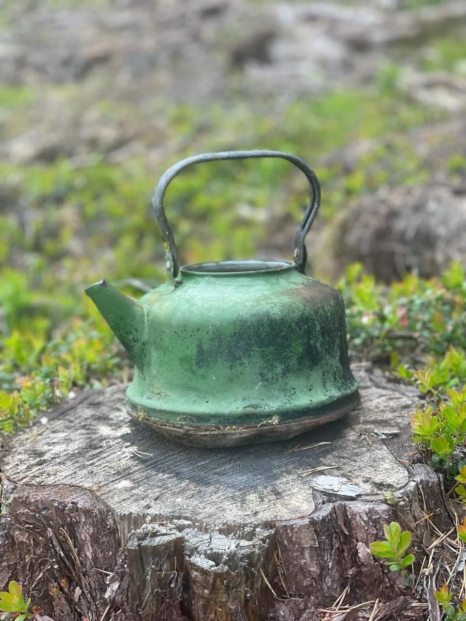 Что забывают туристы в нашем лесу?

Чайники, подушки, часы с кукушкой (очень интересно, конечно, кук
