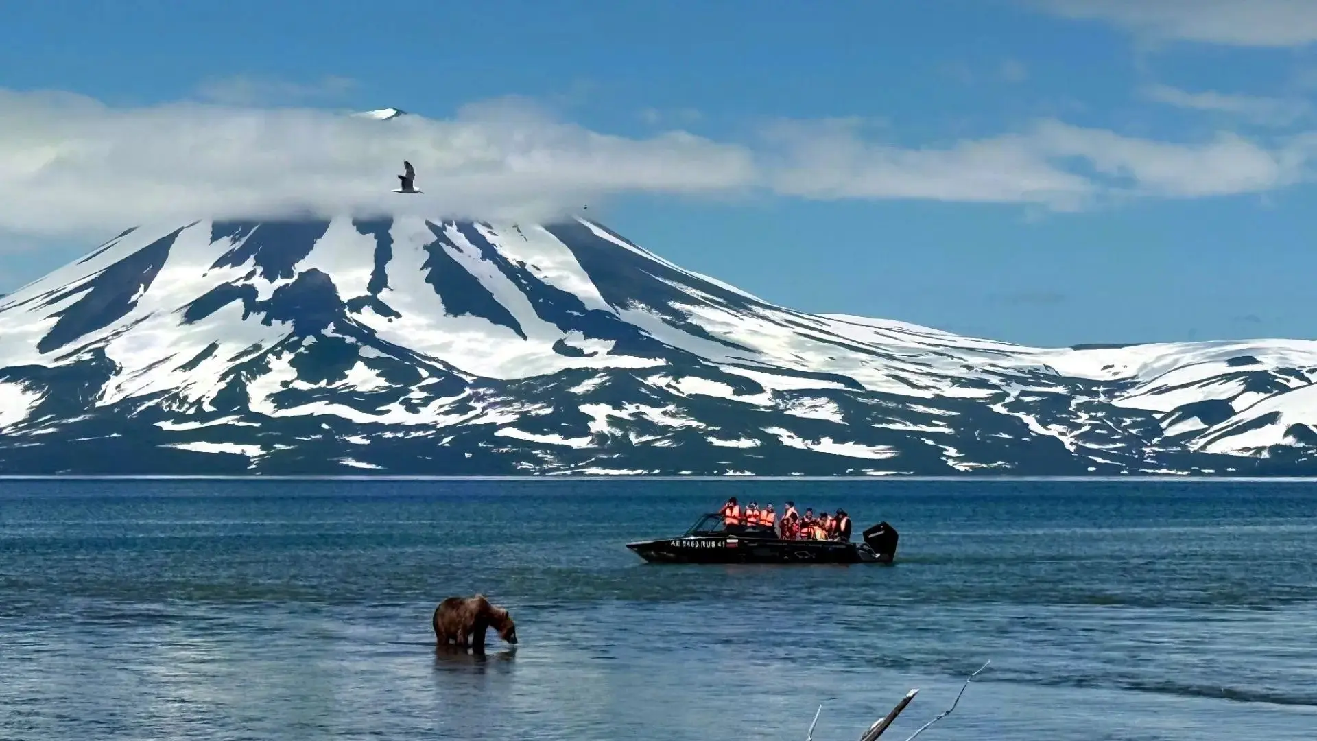 🐻🚤 Паводки на Курильском озере и реке Озерной не мешают проведению экскурсий
 
Многоснежная зима д