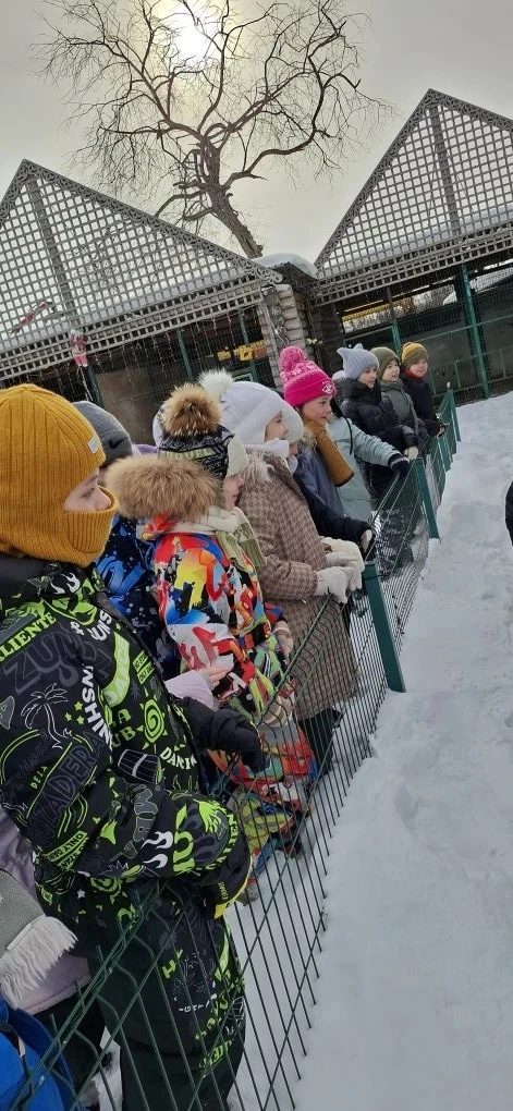 26 февраля ученики 2 д класса со своим классным руководителем Вавилиной О.В. отправились в увлекател