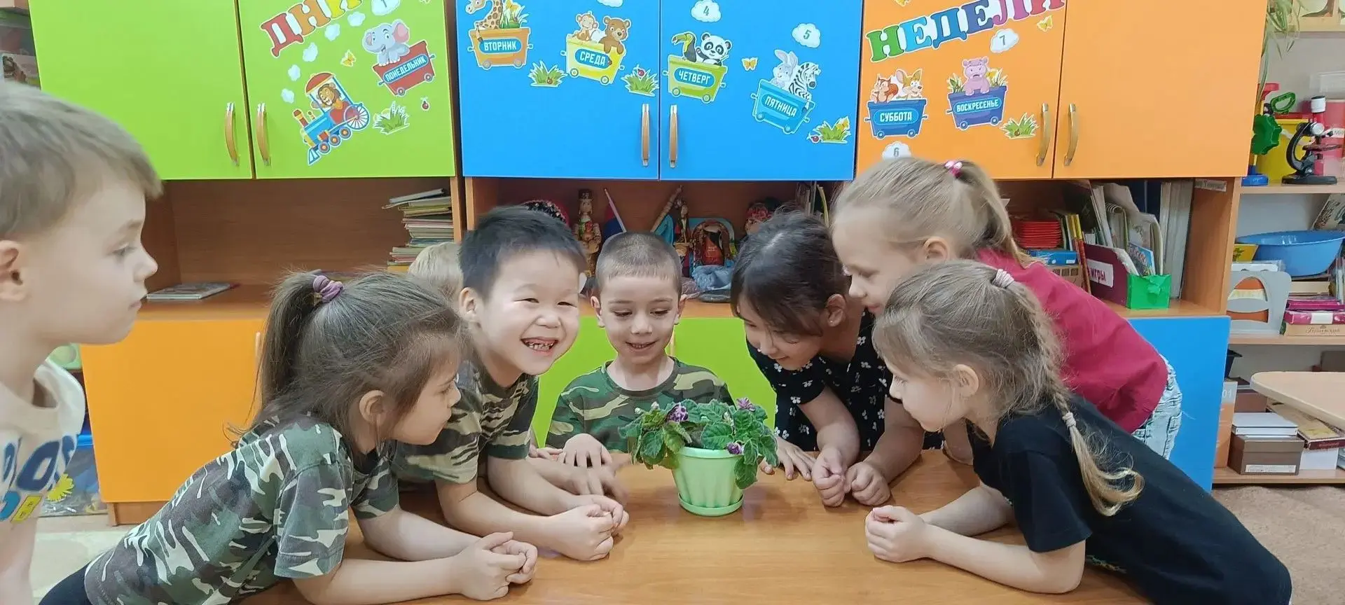 🌺 День рождения фиалки! 🌺Сегодня в нашем природном уголке произошло настоящее чудо — ...