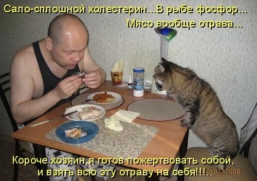 Доктор, я же не ем сало, откуда холестерин?!  П: «Доктор, у меня холестерин 7.5! Но я же на ПП, жирн