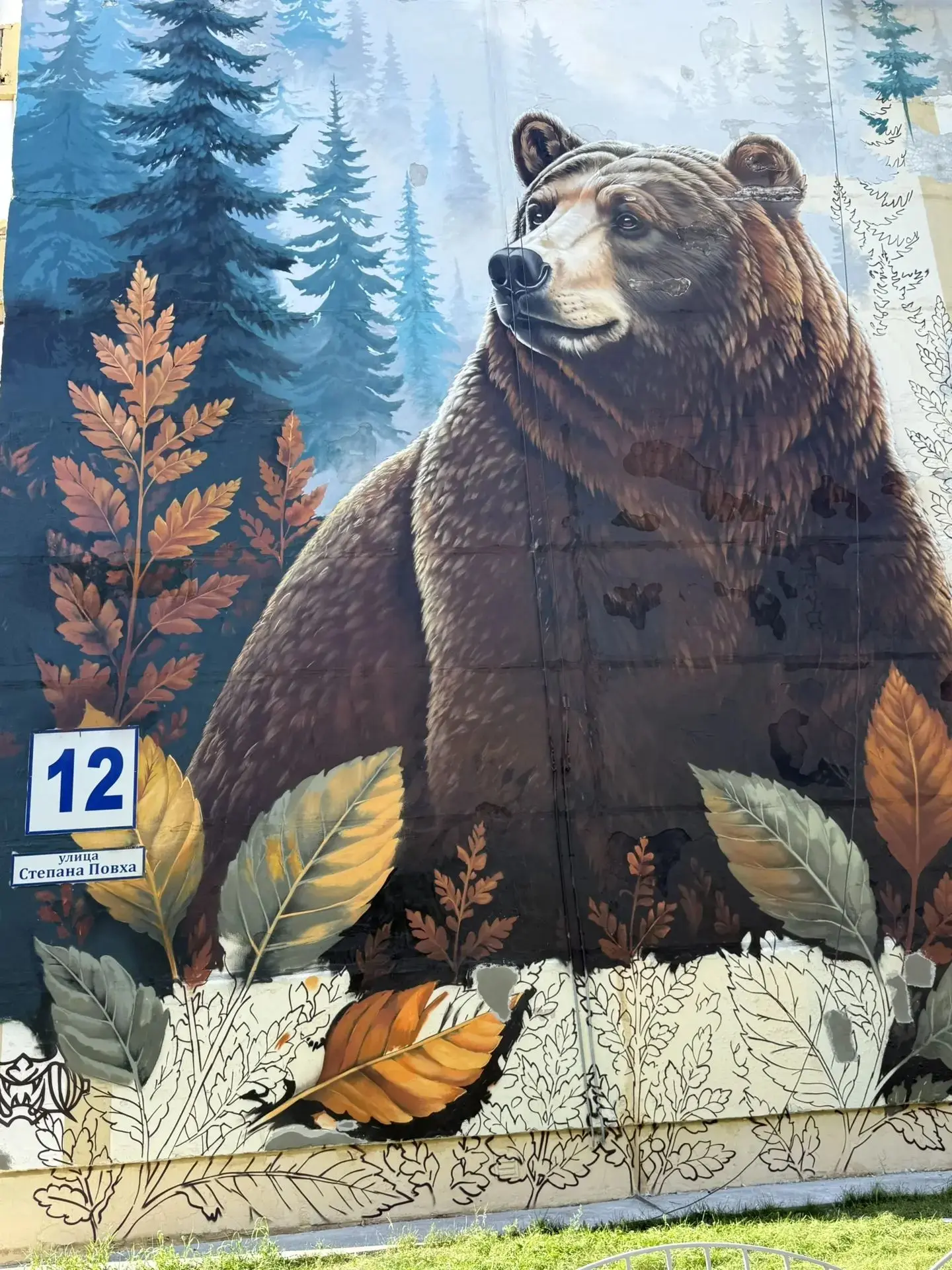 Когалымский медведь 🐻