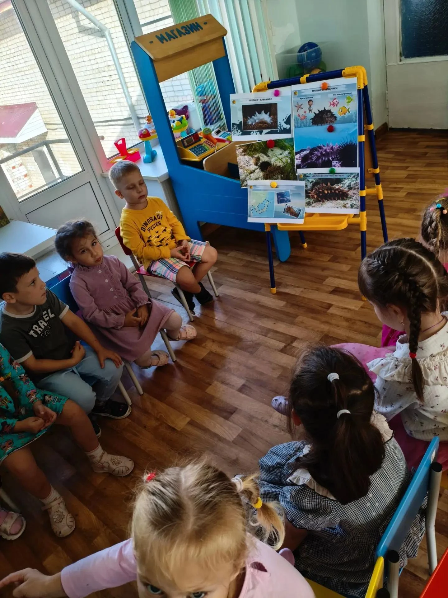 Ребята старшей группы № 8 "Ромашка" познакомились с трепангом.