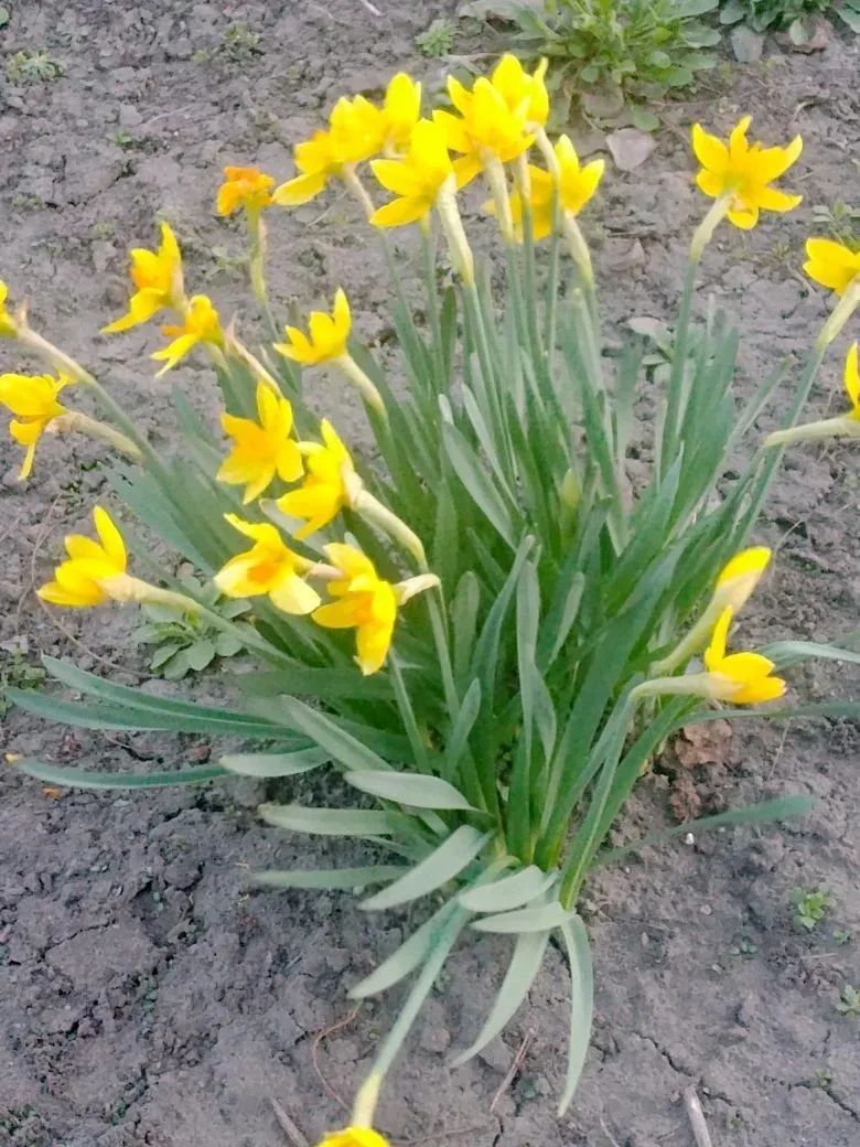 Доброе утро!🤗🤗🤗Замечательного денёчка всем!❤